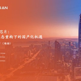 智能驾驶SoC芯片行业专题报告：架构跃迁与生态重构下的国产化机遇