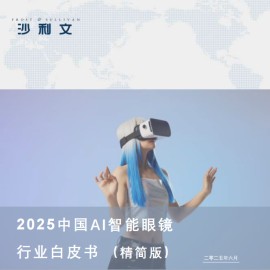 2025中国AI智能眼镜行业白皮书