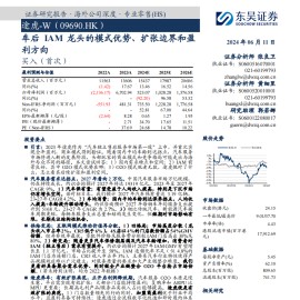 途虎研究报告：车后IAM龙头的模式优势、扩张边界和盈利方向