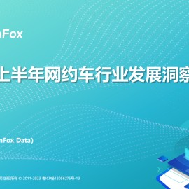 2024上半年网约车行业发展洞察