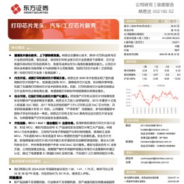 纳思达研究报告：打印芯片龙头，汽车工控芯片新秀