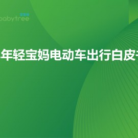 艾瑞咨询：2025年年轻宝妈电动车出行白皮书