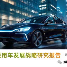 2025年比亚迪乘用车发展战略研究报告 