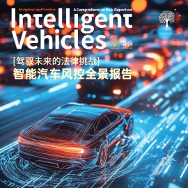 2025年驾驭未来的法律挑战：智能汽车风控全景报告