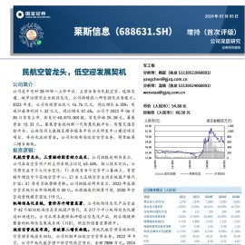 莱斯信息研究报告：民航空管龙头，低空迎发展契机