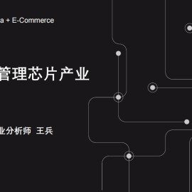 与非网：2025年电源管理芯片产业分析报告