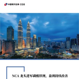 盟固利-301487-首次覆盖报告：NCA龙头进军磷酸铁锂，盈利持续改善