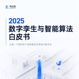 2025数字孪生与智能算法白皮书