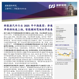 新能源汽车行业2025年中期展望：渗透率保持快速上扬，智能辅助驾驶劲草逢春