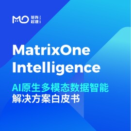 AI原生多模态数据智能解决方案白皮书