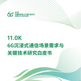 6G沉浸式通信场景需求与关键技术研究白皮书