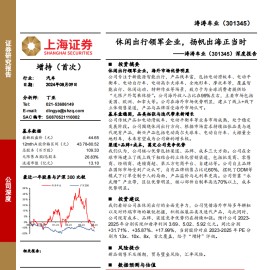 涛涛车业研究报告：休闲出行领军企业，扬帆出海正当时