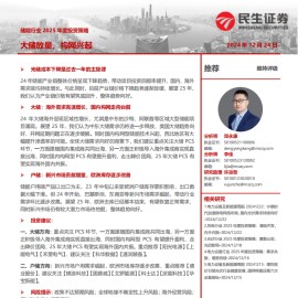 储能行业2025年度投资策略：大储放量，构网兴起