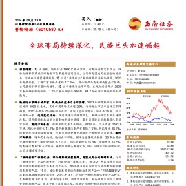 赛轮轮胎研究报告：全球布局持续深化，民族巨头加速崛起