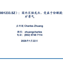 海安集团公司研究报告：国内巨胎龙头，受益于份额提升以及采矿景气