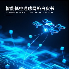 中国电信：2025年智能低空通感网络白皮书