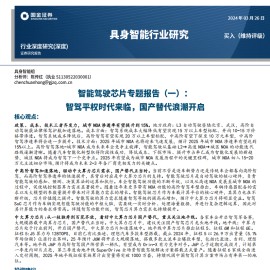 智能驾驶芯片专题报告：智驾平权时代来临，国产替代浪潮开启