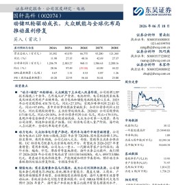 国轩高科-002074-动储双轮驱动成长，大众赋能与全球化布局推动盈利修复