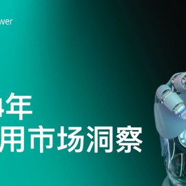 2024年AI应用市场洞察