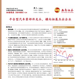 拓普集团研究报告：平台型汽车零部件龙头，横向拓展杰出企业