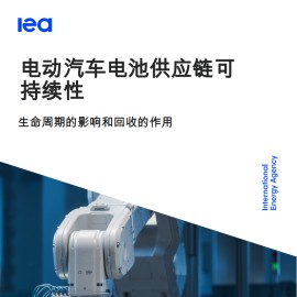 电动汽车电池供应链可持续性：生命周期的影响和回收的作用
