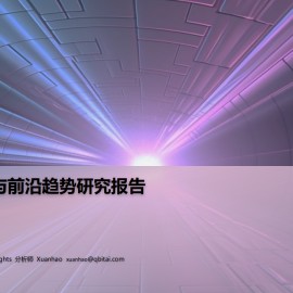 2024大模型落地与前沿趋势研究报告