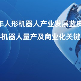 2025年人形机器人行业产业发展蓝皮书：人形机器人量产及商业化关键挑战