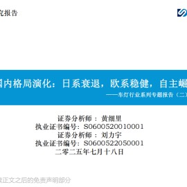 车灯行业系列专题报告：国内格局演化，日系衰退，欧系稳健，自主崛起