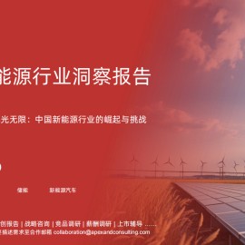 中国新能源行业洞察报告：风光无限，中国新能源行业的崛起与挑战