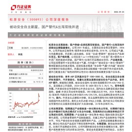 松原安全研究报告：被动安全自主新星，国产替代&出海双线并进