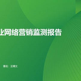 2024年汽车行业网络营销监测报告