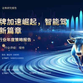 2025年汽车行业年度策略报告：自主品牌加速崛起，智能驾驶开启新篇章