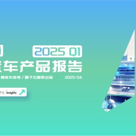 中国AI汽车产品报告2025Q1