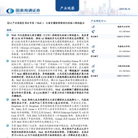 AI产业深度分析：混合专家（MoE），大语言模型持续进化的核心架构基石