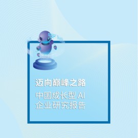 迈向巅峰之路：中国成长型AI企业研究报告