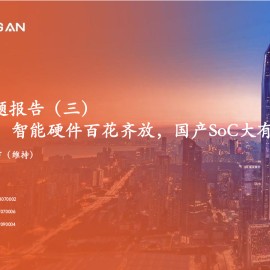 AIoT端侧行业专题报告：智能硬件百花齐放，国产SoC大有可为