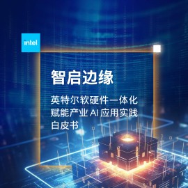 2025智启边缘：英特尔软硬件一体化赋能产业 AI 应用实践白皮书