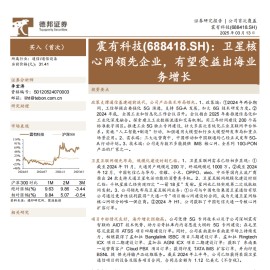 震有科技研究报告：卫星核心网领先企业，有望受益出海业务增长