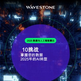 2025数据与人工智能雷达：10挑战掌握您的数据2025年的AI转型