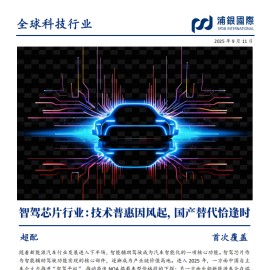 智驾芯片行业分析：技术普惠因风起，国产替代恰逢时