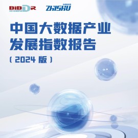中国大数据产业发展指数报告（2024版）