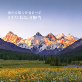 华为控股有限公司2024年年度报告