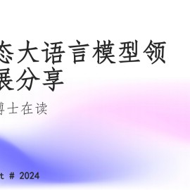 多模态大语言模型领域进展分享