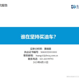 汽车行业分析：谁在坚持买油车？