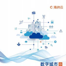 数字城市泛在感知体系白皮书