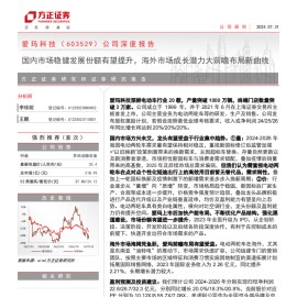 爱玛科技研究报告：国内市场稳健发展份额有望提升，海外市场成长潜力大前瞻布局新曲线