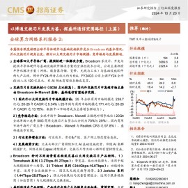 Broadcom公司专题报告：以博通交换芯片发展为鉴，探盛科通信突围路径（上篇）