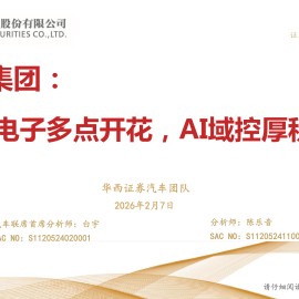 华阳集团公司研究报告：汽车电子多点开花，AI域控厚积薄发