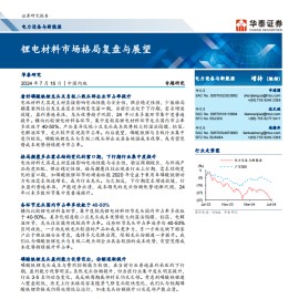 锂电材料市场格局复盘与展望专题报告
