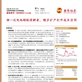 德瑞锂电研究报告：锂一次电池领域深耕者，稳步扩产打开成长空间